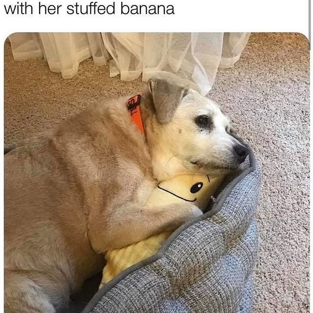  .......ndrulzz   'recent posts' 