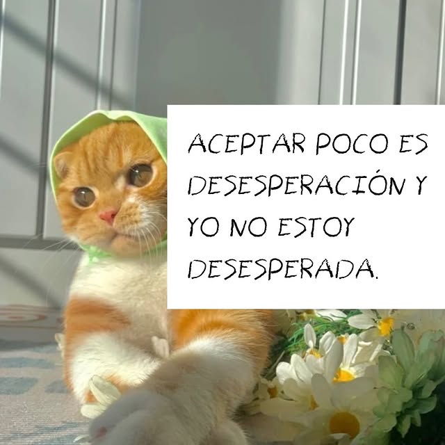  .....caidas   'recent posts' 