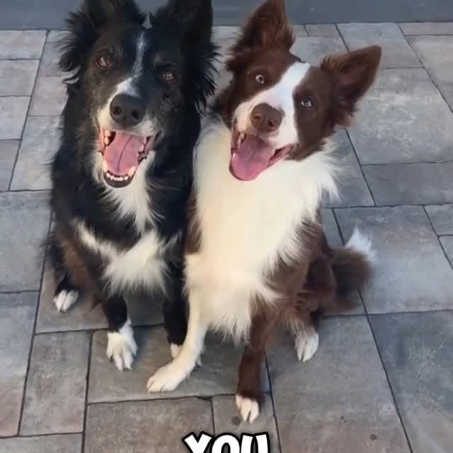  ........ykingdom   'recent posts' 