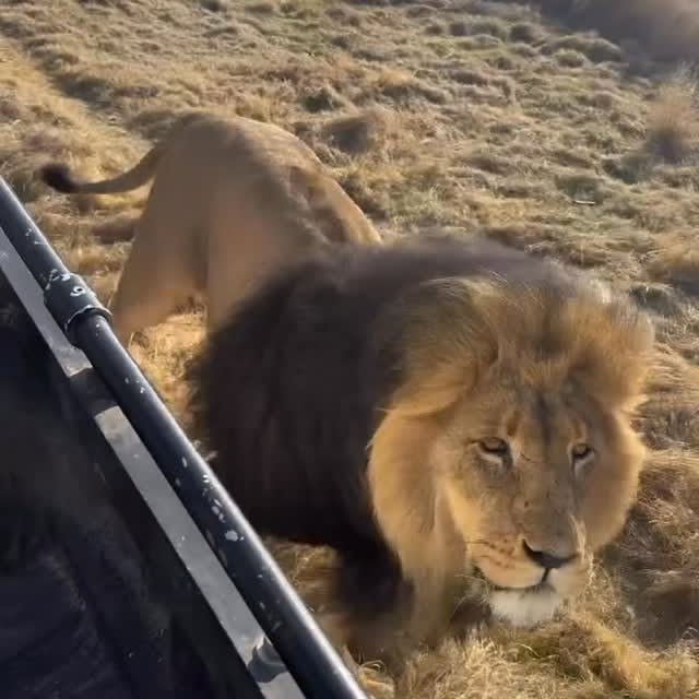  ........unlocked   'recent posts' 