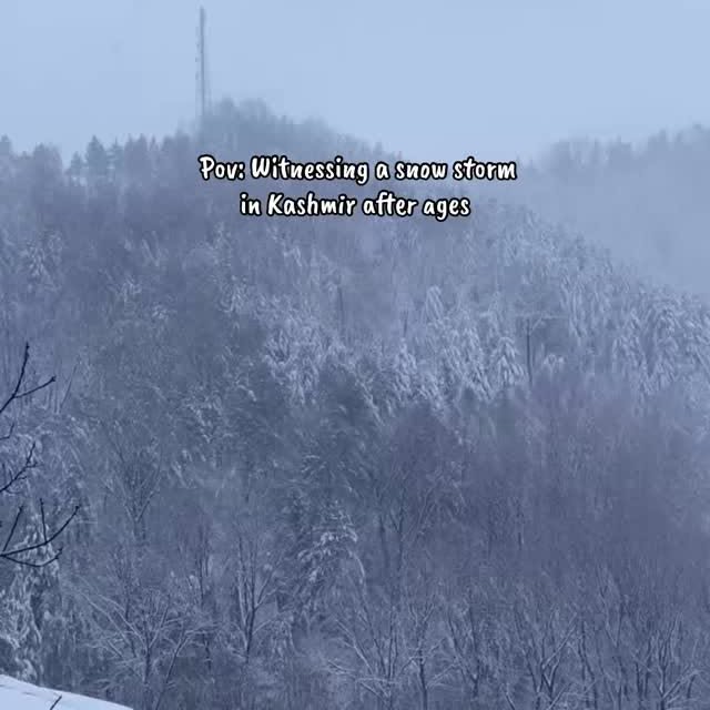  ......zafar   'recent posts' 