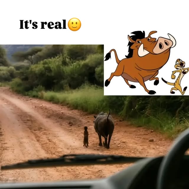  ........_culture_   'recent posts' 