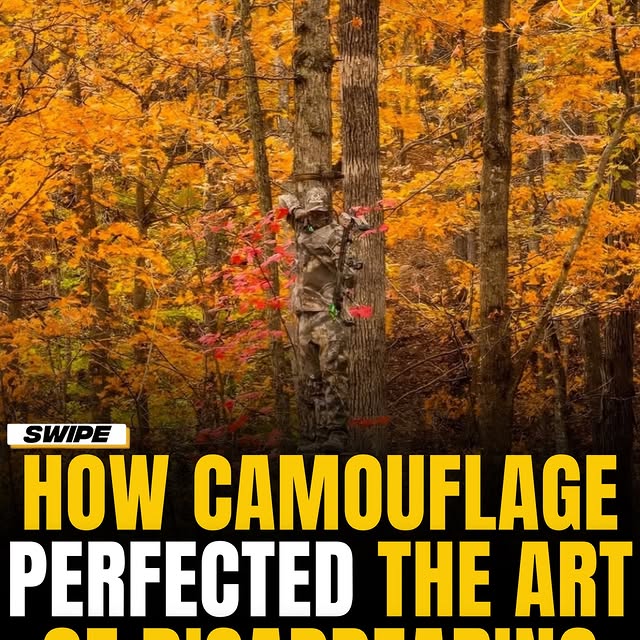  .......onfacts   'recent posts' 