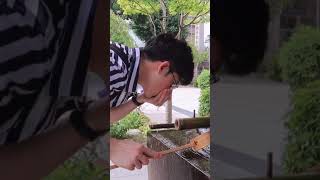  ..nTV  'recent videos' 