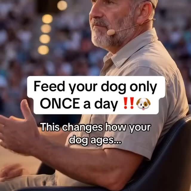  ..........n.retriever   'recent posts' 