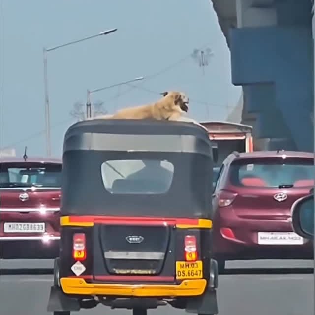  ......estige   'recent posts' 