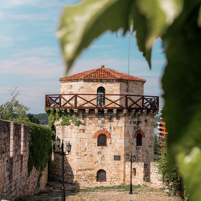  .......ains___   'recent posts' 