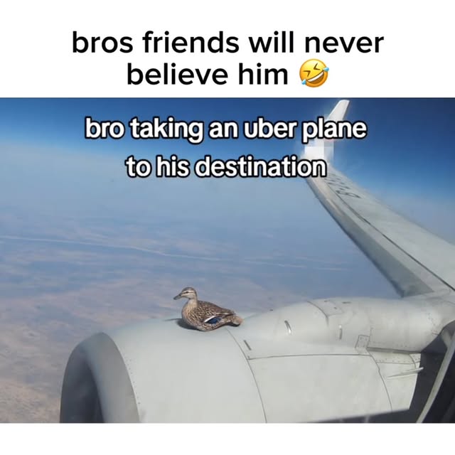  ..obe   'recent posts' 