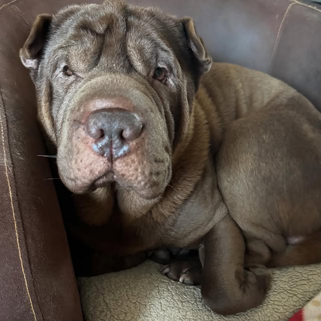  ......i.world   'recent posts' 