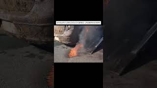  ...........with Purpose  'recent videos' 