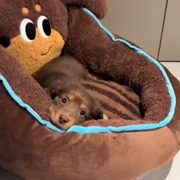  ..........fan.club_   'recent posts' 