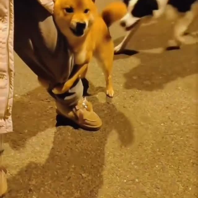  ....fday   'recent posts' 