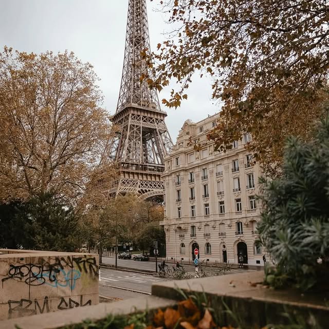  .......urney_d   'recent posts' 