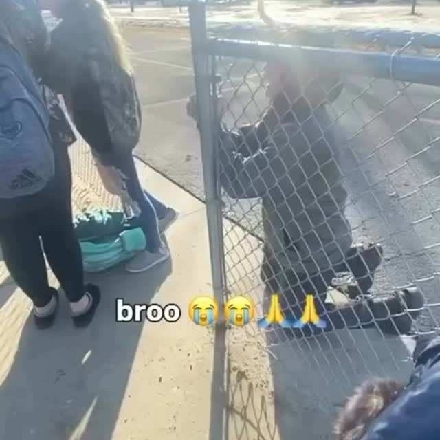  .........ereelpull   'recent posts' 