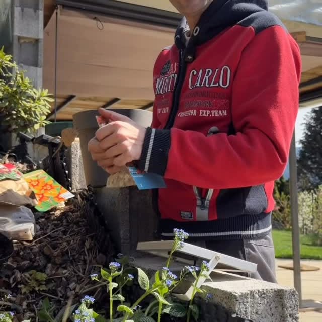  .......ficially   'recent posts' 