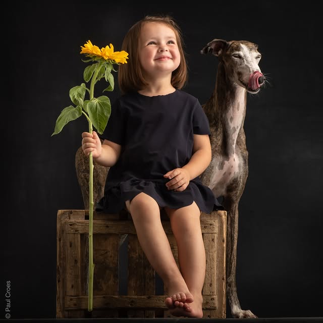  ..........hotography   'recent posts' 