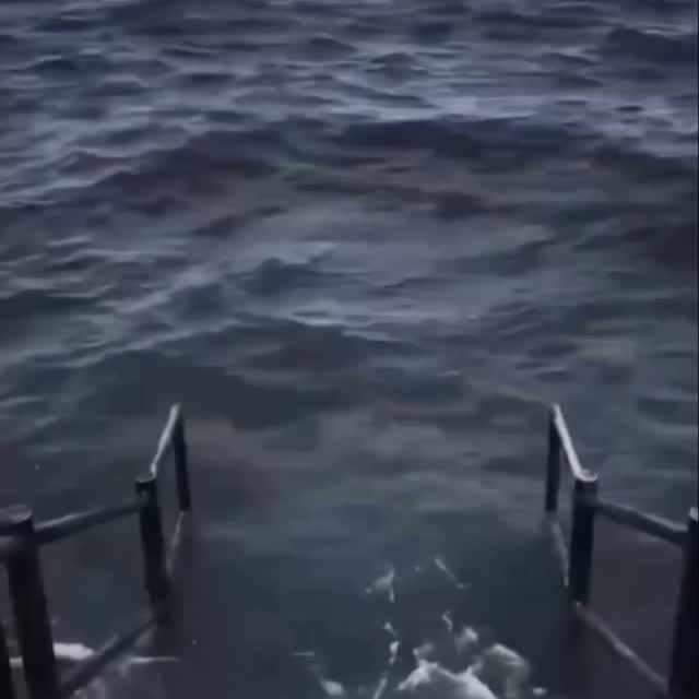  .....meme_s   'recent posts' 