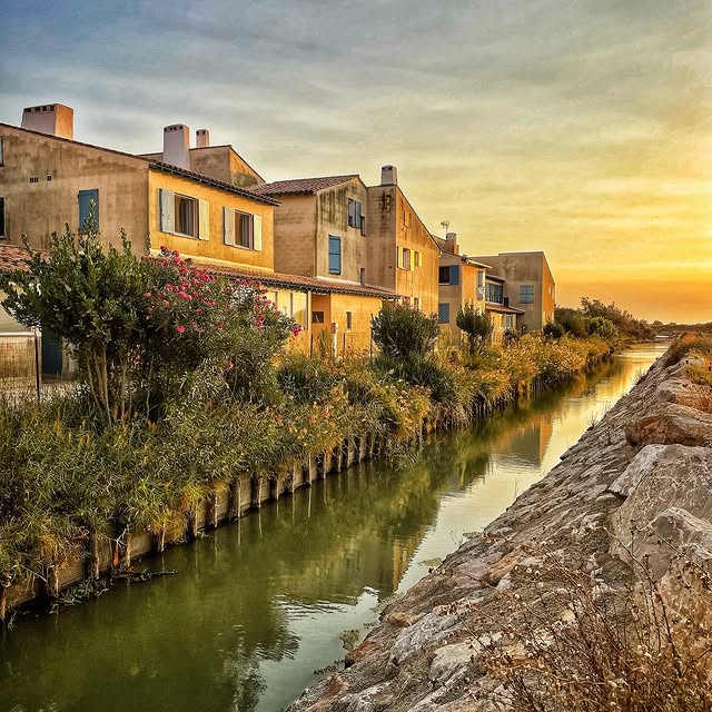  ......_viola   'recent posts' 