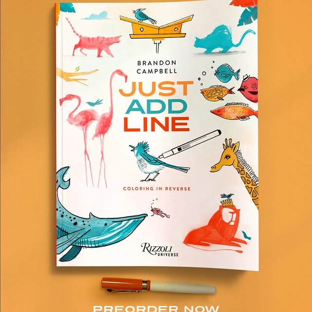  ....dcamp   'recent posts' 