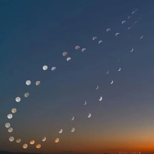  .......myforum   'recent posts' 