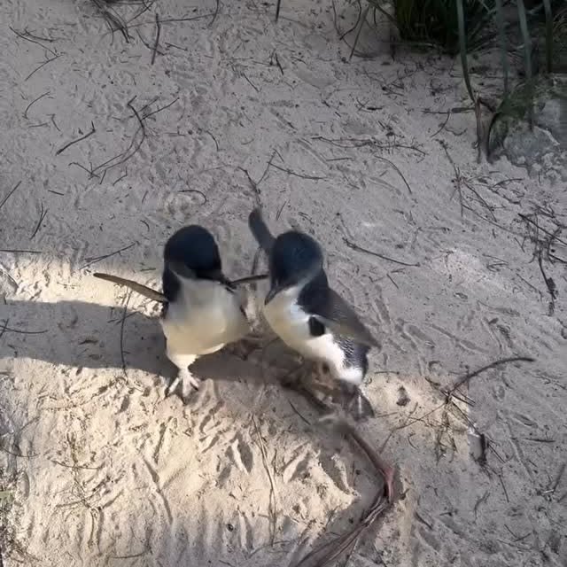  ........unlocked   'recent posts' 