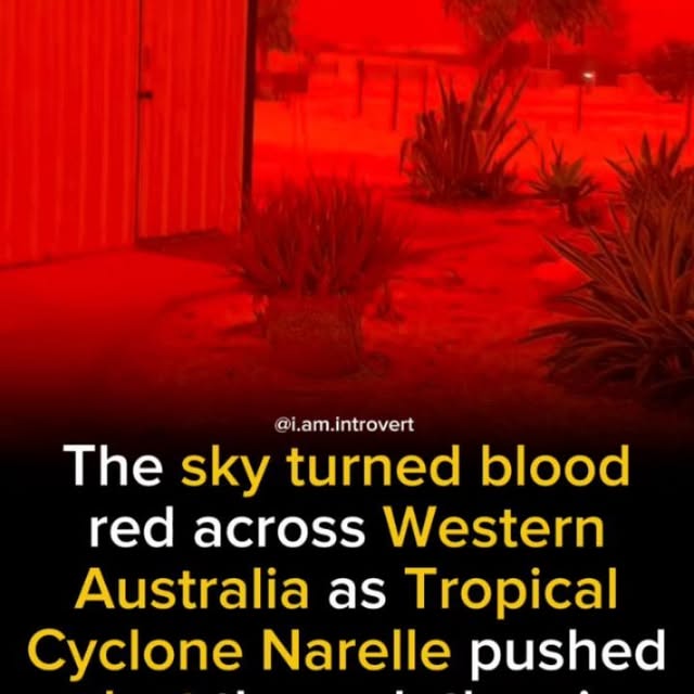  .......trovert   'recent posts' 