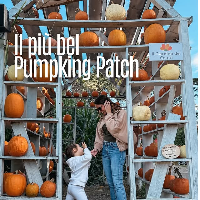  ........oconmapa   'recent posts' 