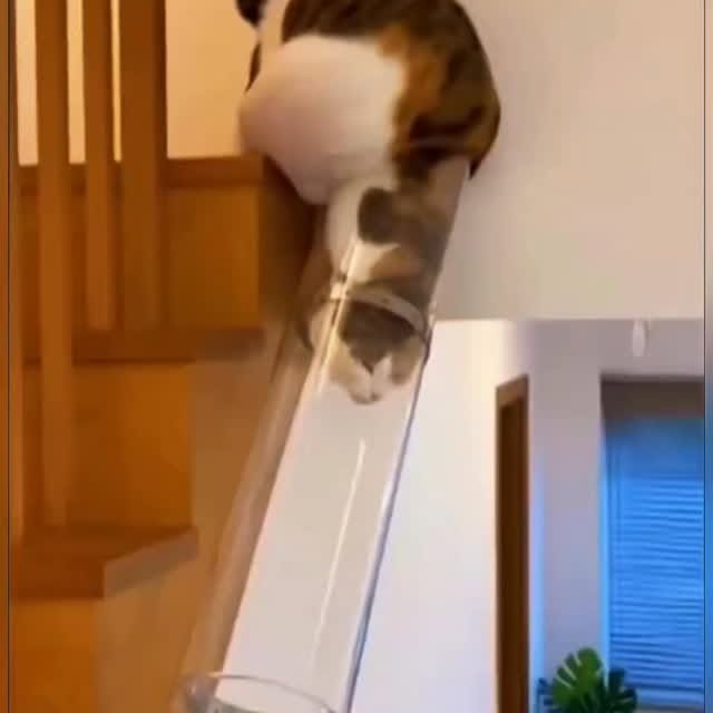  .......plorers   'recent posts' 