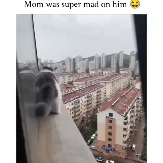  ..spd   'recent posts' 