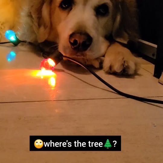  ..ps   'recent posts' 