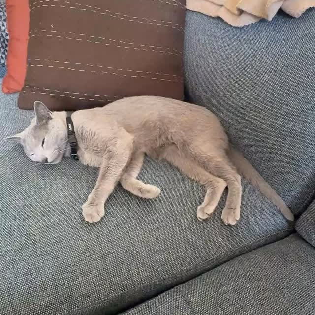  ......n_boris   'recent posts' 