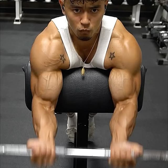  .....brids   'recent posts' 