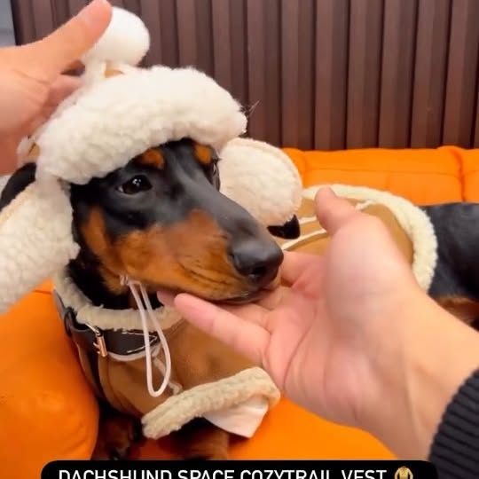  ..........fan.club_   'recent posts' 