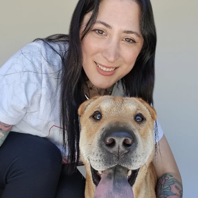  ........ciaalonso   'recent posts' 