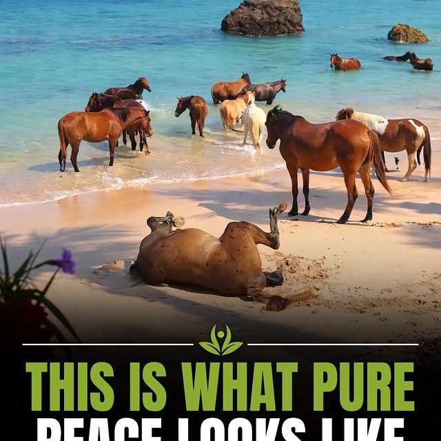  ........ypractice   'recent posts' 