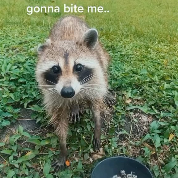  ....onnei   'recent posts' 