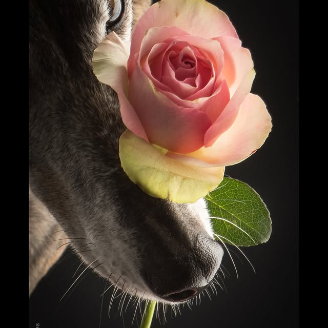  ..........hotography   'recent posts' 