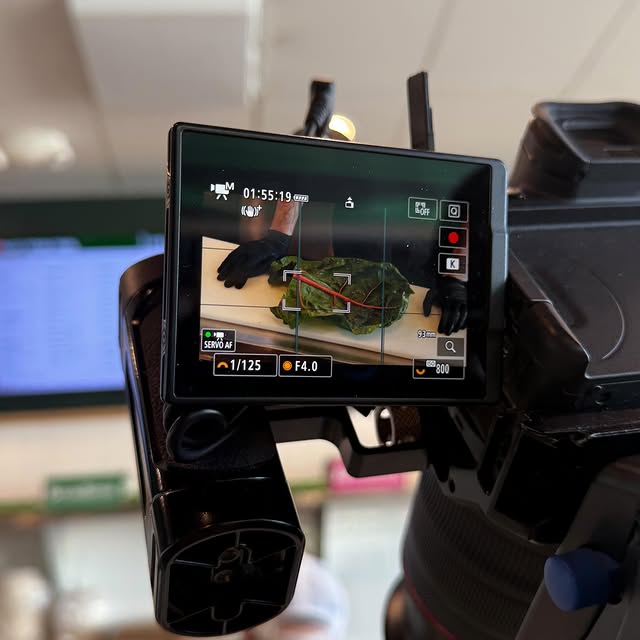  .....o.pov   'recent posts' 