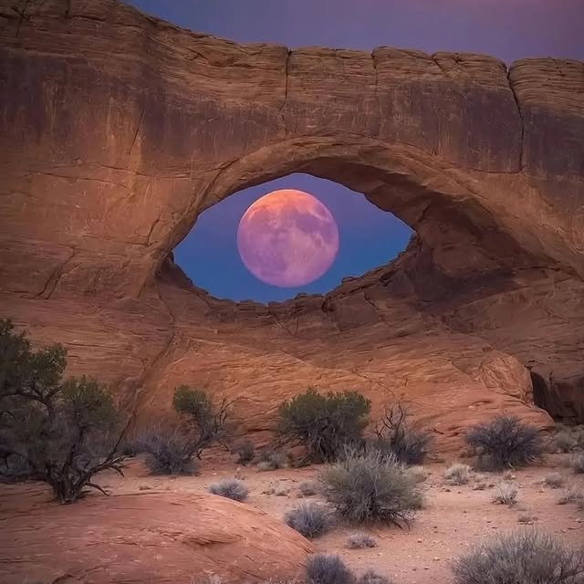  .......refervor   'recent posts' 