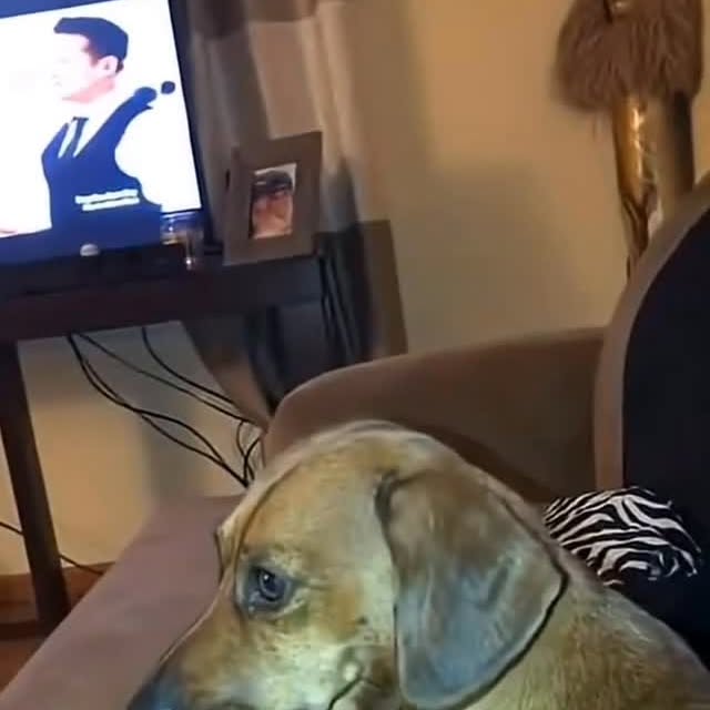  .....mystic   'recent posts' 