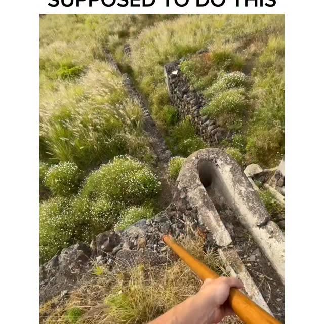  ..obe   'recent posts' 