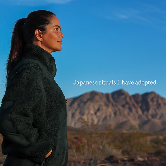  .......amonroe   'recent posts' 