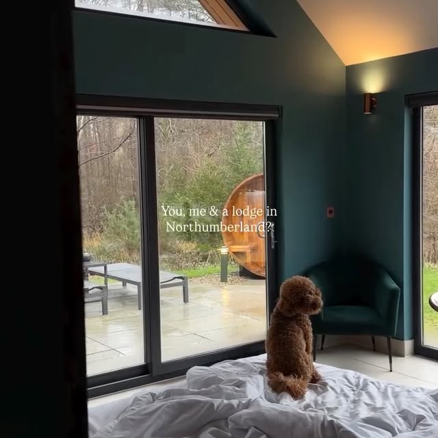  .........tlelondon   'recent posts' 