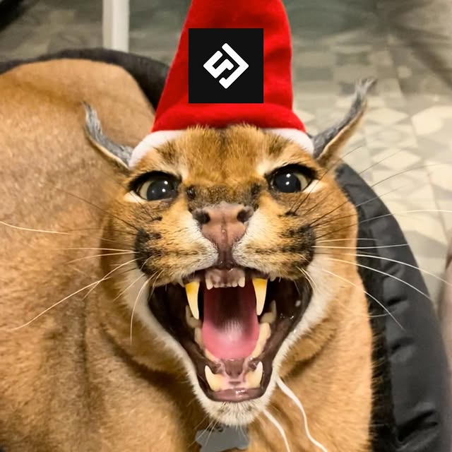  ......aracal   'recent posts' 