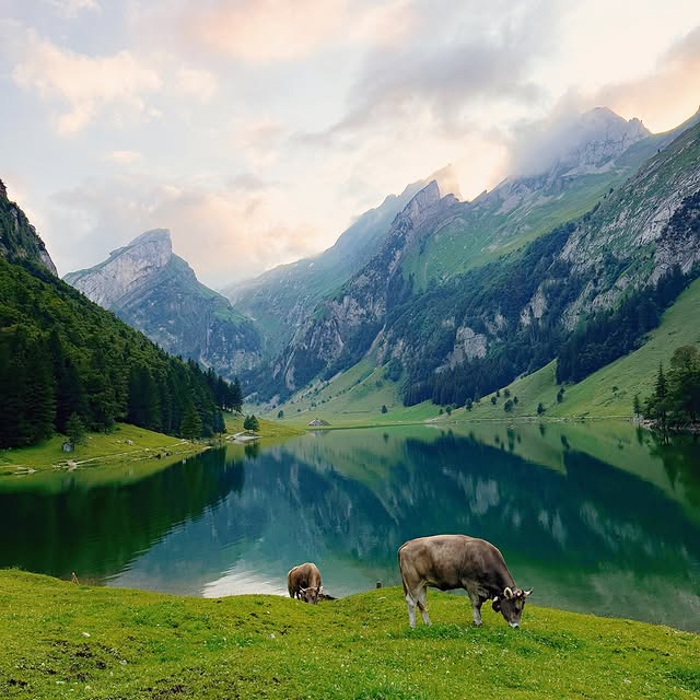  .....tours   'recent posts' 