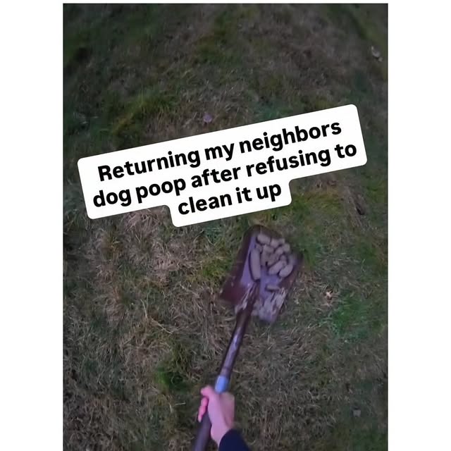  ...edy   'recent posts' 