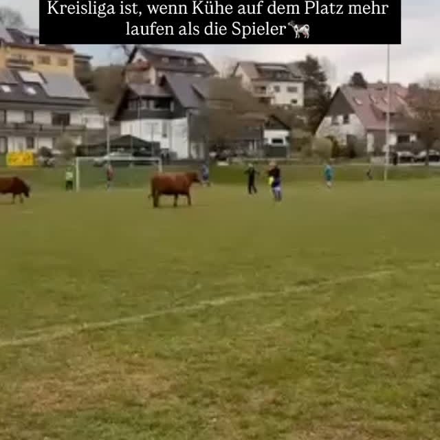  ..........ussball.de   'recent posts' 