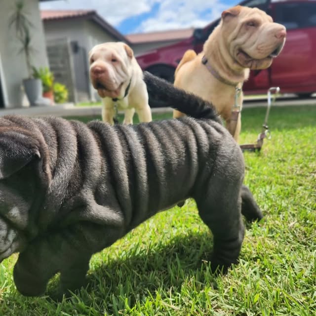  ......i.world   'recent posts' 