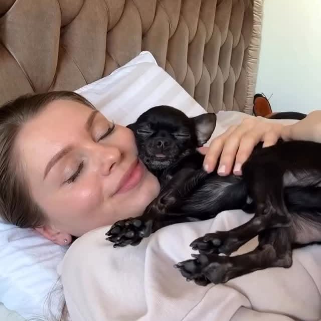  .......uapuppy   'recent posts' 