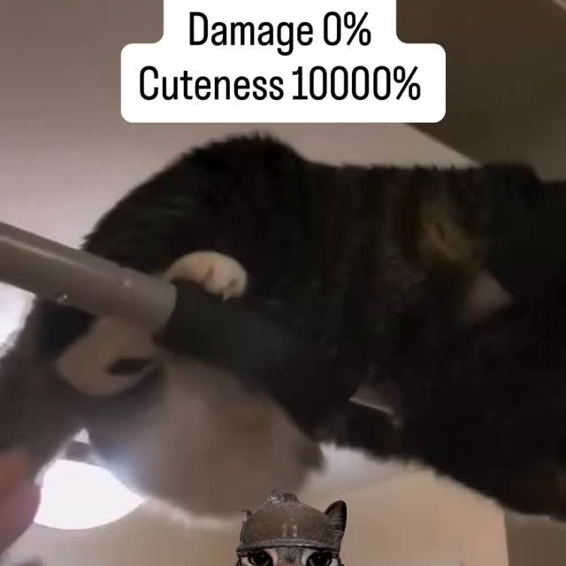  ....eowsy   'recent posts' 